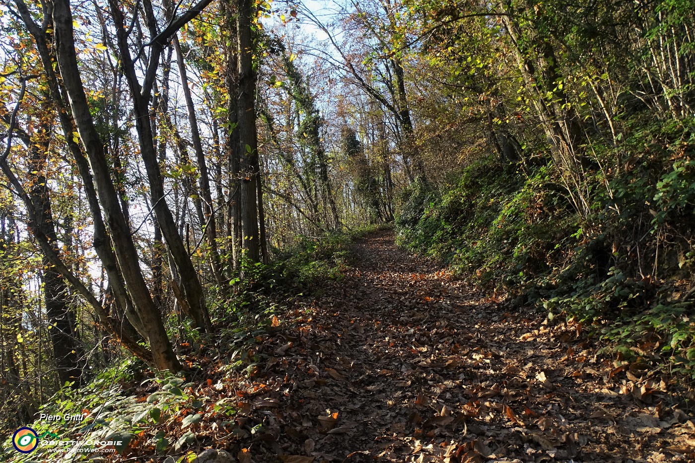 51 Salendo sulla strada gippabile in decisa salita a tornanti.JPG